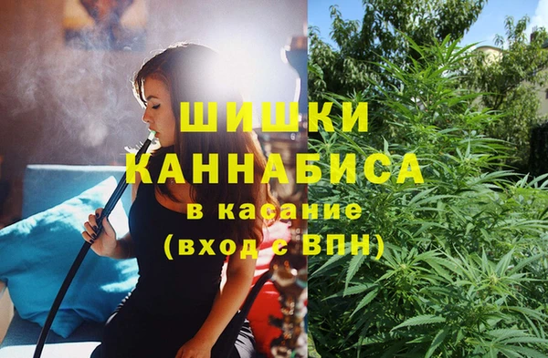 винт Мегион