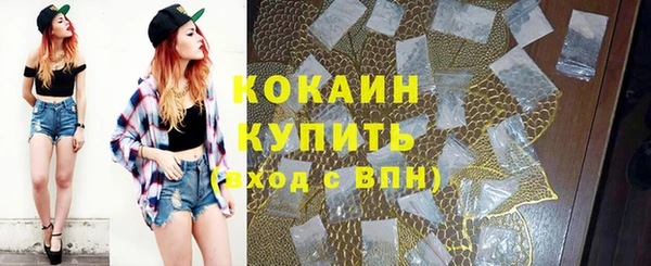 винт Мегион