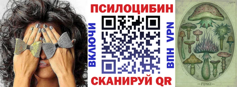 Псилоцибиновые грибы мицелий  Абакан 