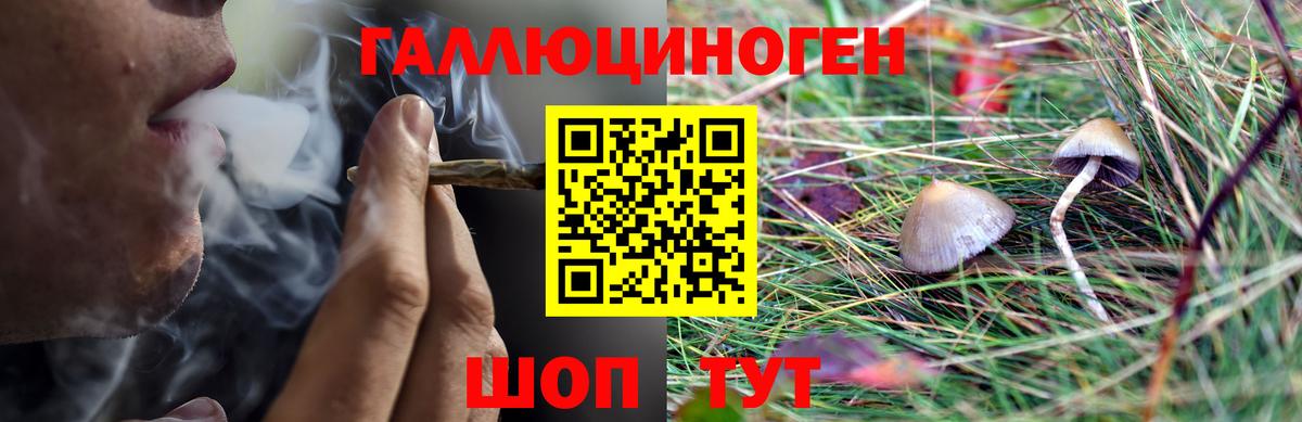 МЕФ кристаллы  Лсд 25  Вход с VPN  НБОМе  Гашиш  Мефедрон  Абакан  Марихуана 