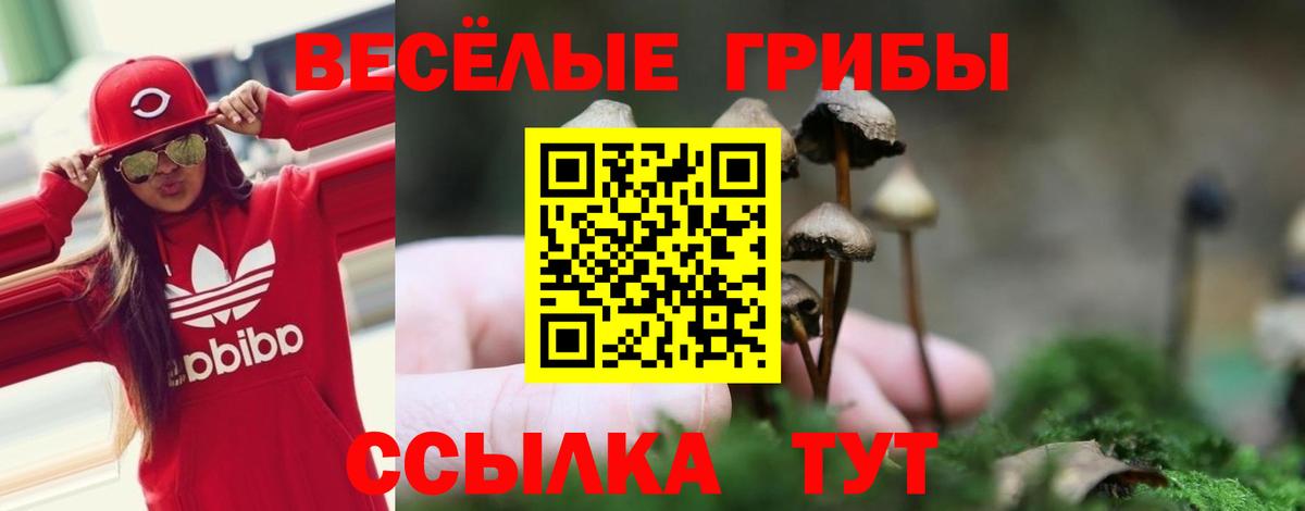 цена наркотик  Галлюциногенные грибы мицелий  Вход с VPN  Абакан 