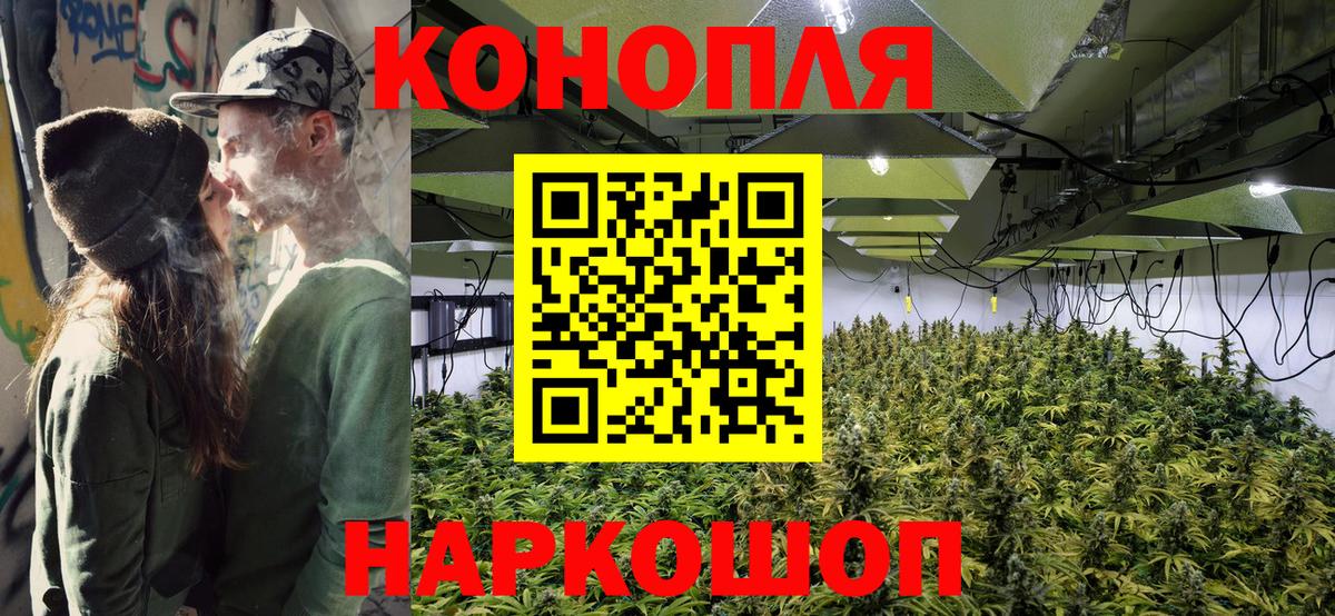 Шишки марихуана марихуана  Абакан  Канабис Bruce Banner 