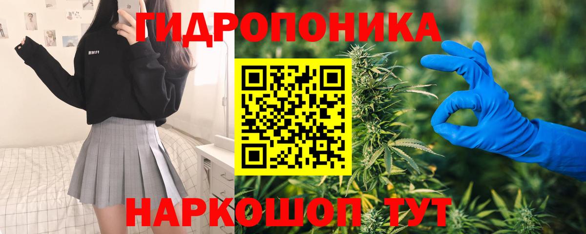 Бошки марихуана White Widow Абакан
